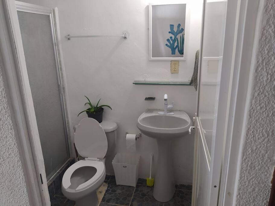 Arrecife Apartment แคนคูน ภายนอก รูปภาพ